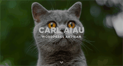 Desktop Screenshot of carlaiau.com